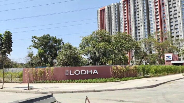 LOdha-domnivali