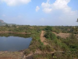 WhatsApp-Image-2025-03-25-at-12.54.44-PM