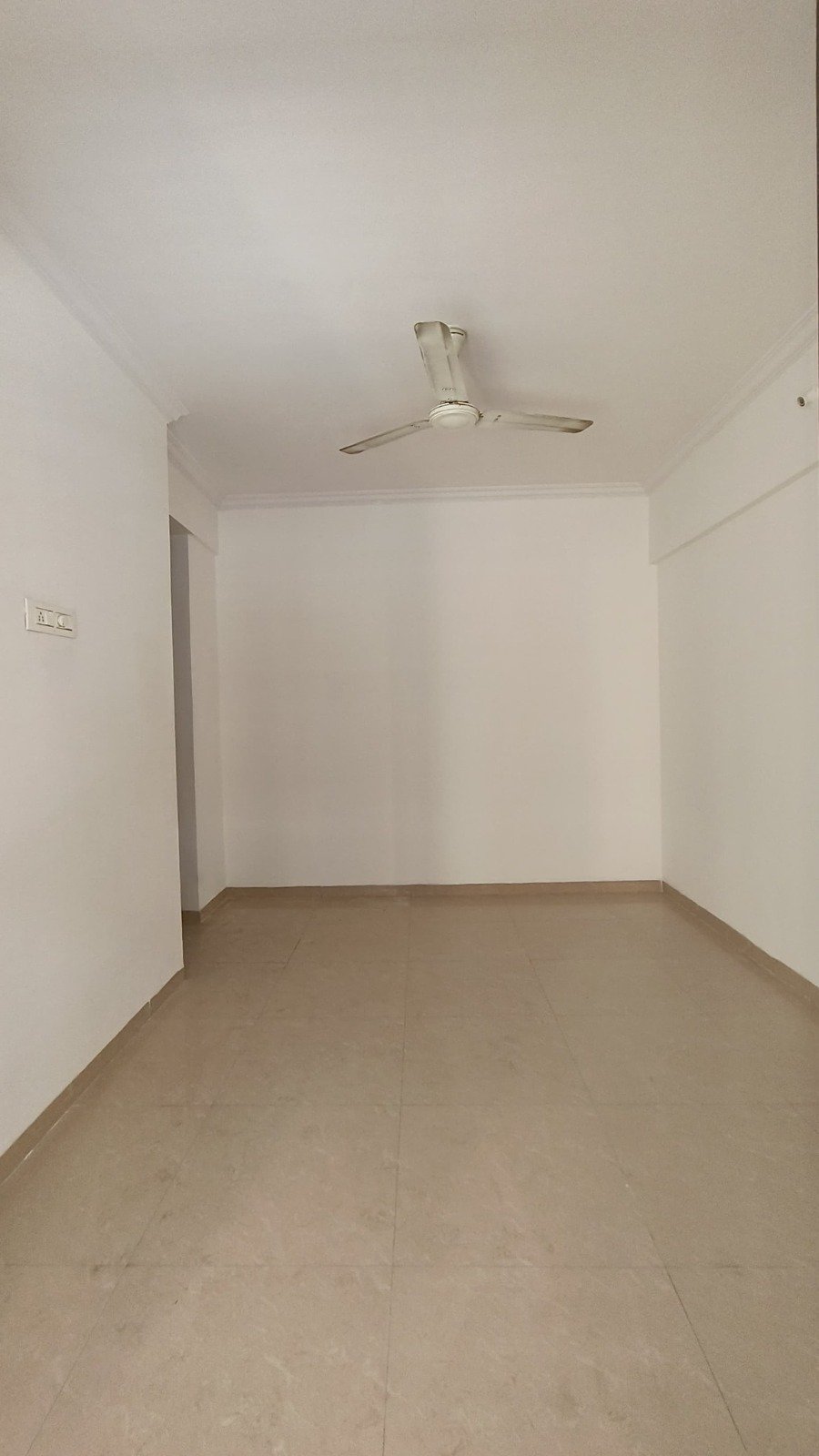 WhatsApp-Image-2025-03-26-at-3.12.10-PM