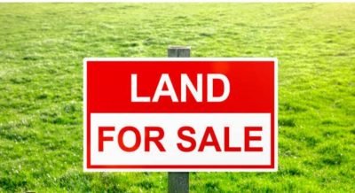 WhatsApp-Image-2025-03-29-at-8.45.21-PM