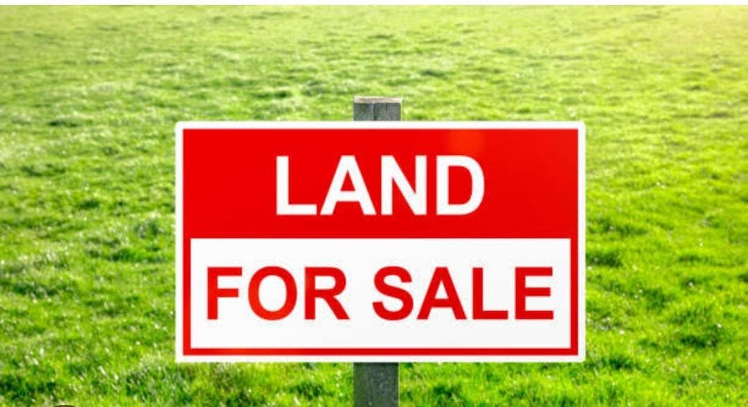 WhatsApp-Image-2025-03-29-at-8.45.21-PM