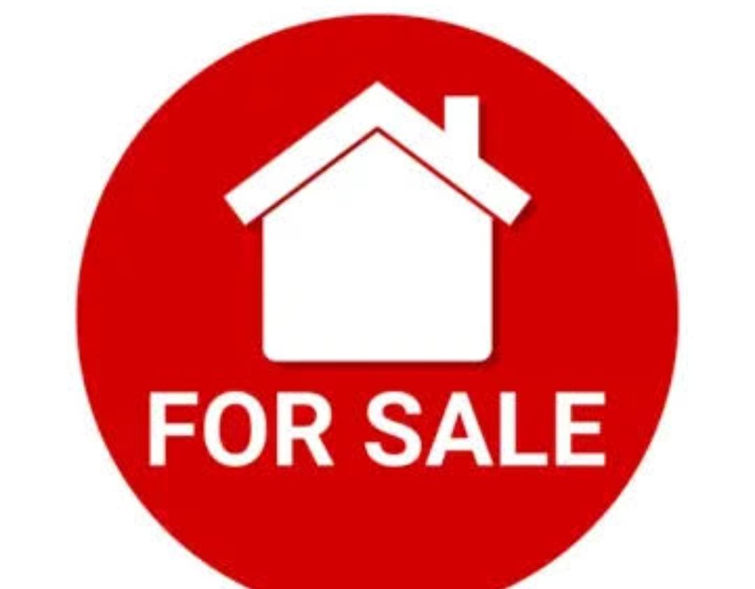 WhatsApp-Image-2025-03-29-at-9.13.14-PM-2