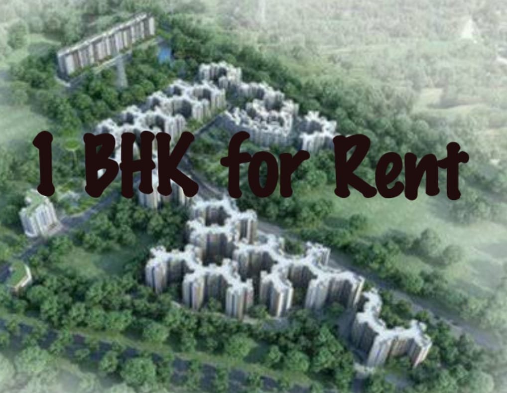 WhatsApp-Image-2025-03-29-at-4.55.42-PM