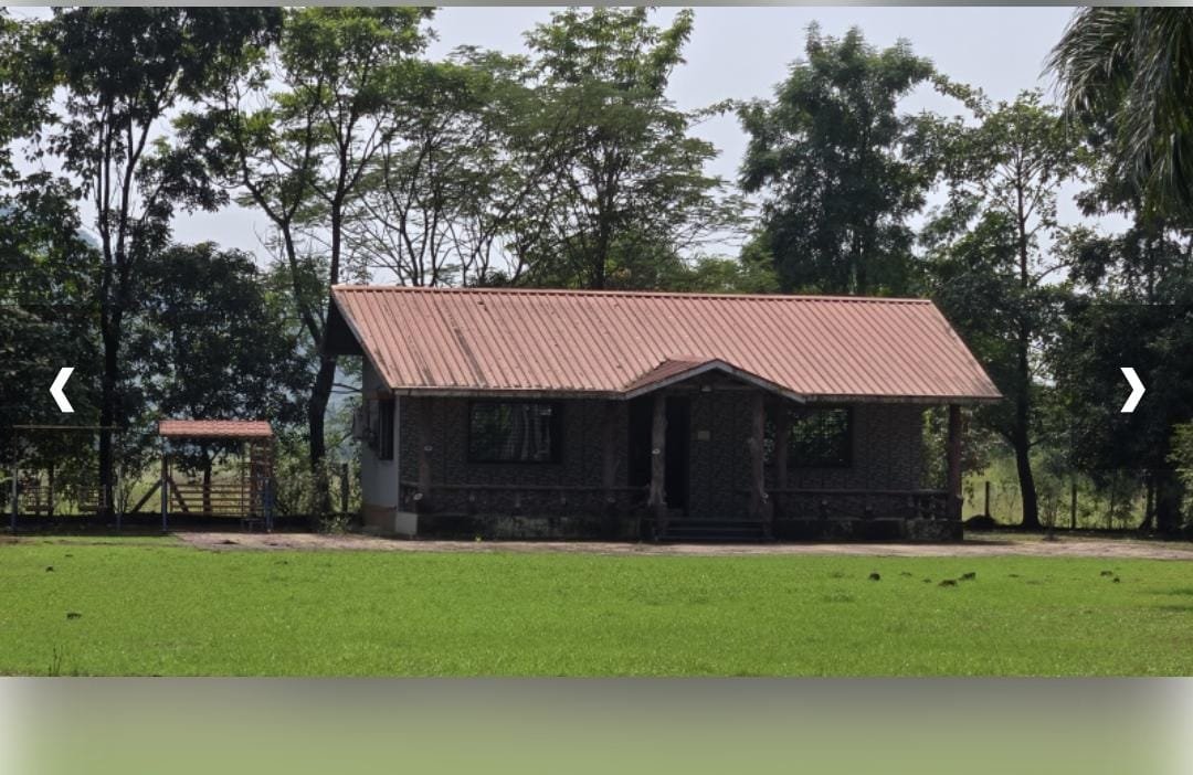 WhatsApp-Image-2025-04-01-at-4.58.23-PM