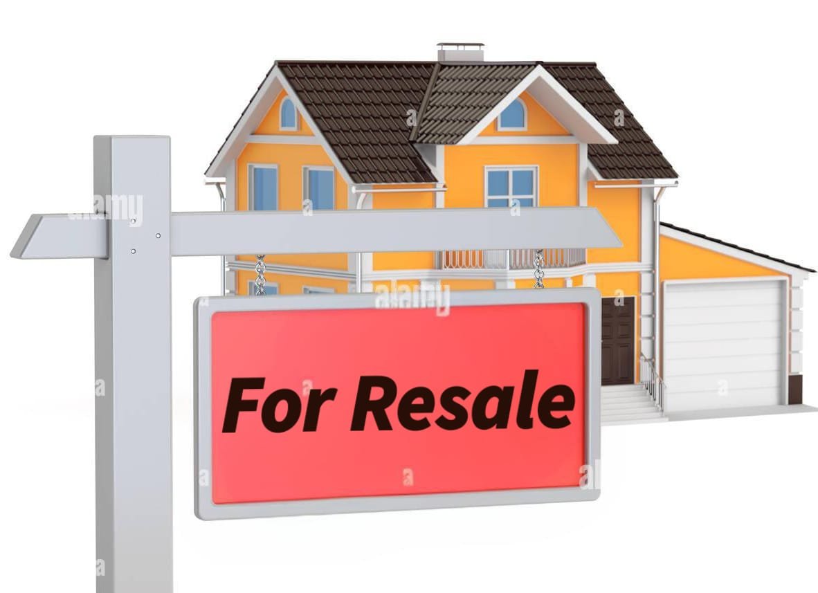 WhatsApp-Image-2025-04-03-at-11.30.36-AM