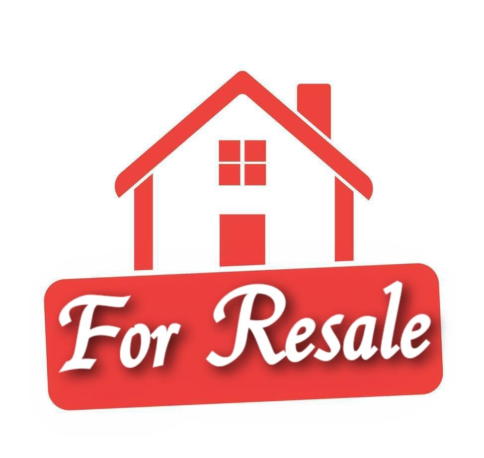 WhatsApp-Image-2025-04-03-at-11.34.06-AM