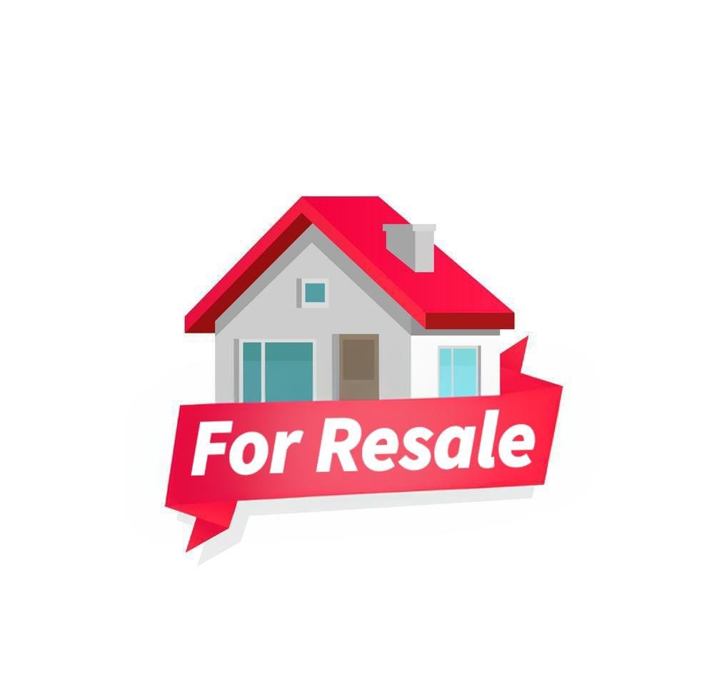 WhatsApp-Image-2025-04-03-at-11.42.50-AM