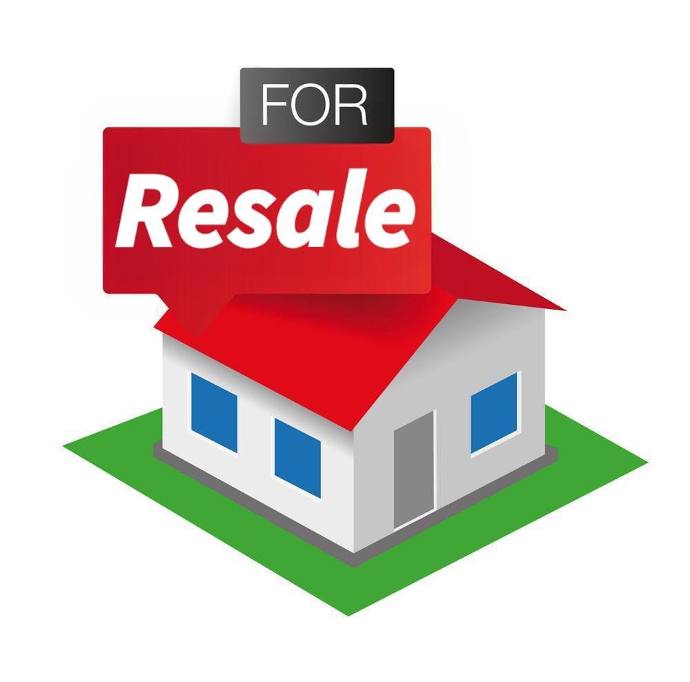 WhatsApp-Image-2025-04-03-at-11.46.36-AM