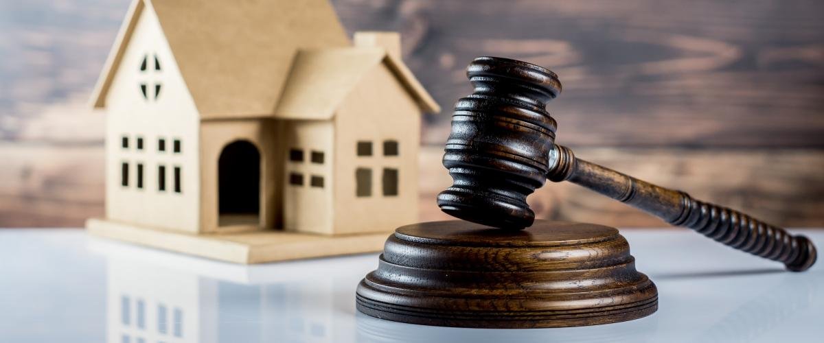 WhatsApp-Image-2025-04-17-at-2.20.11-PM-1-3