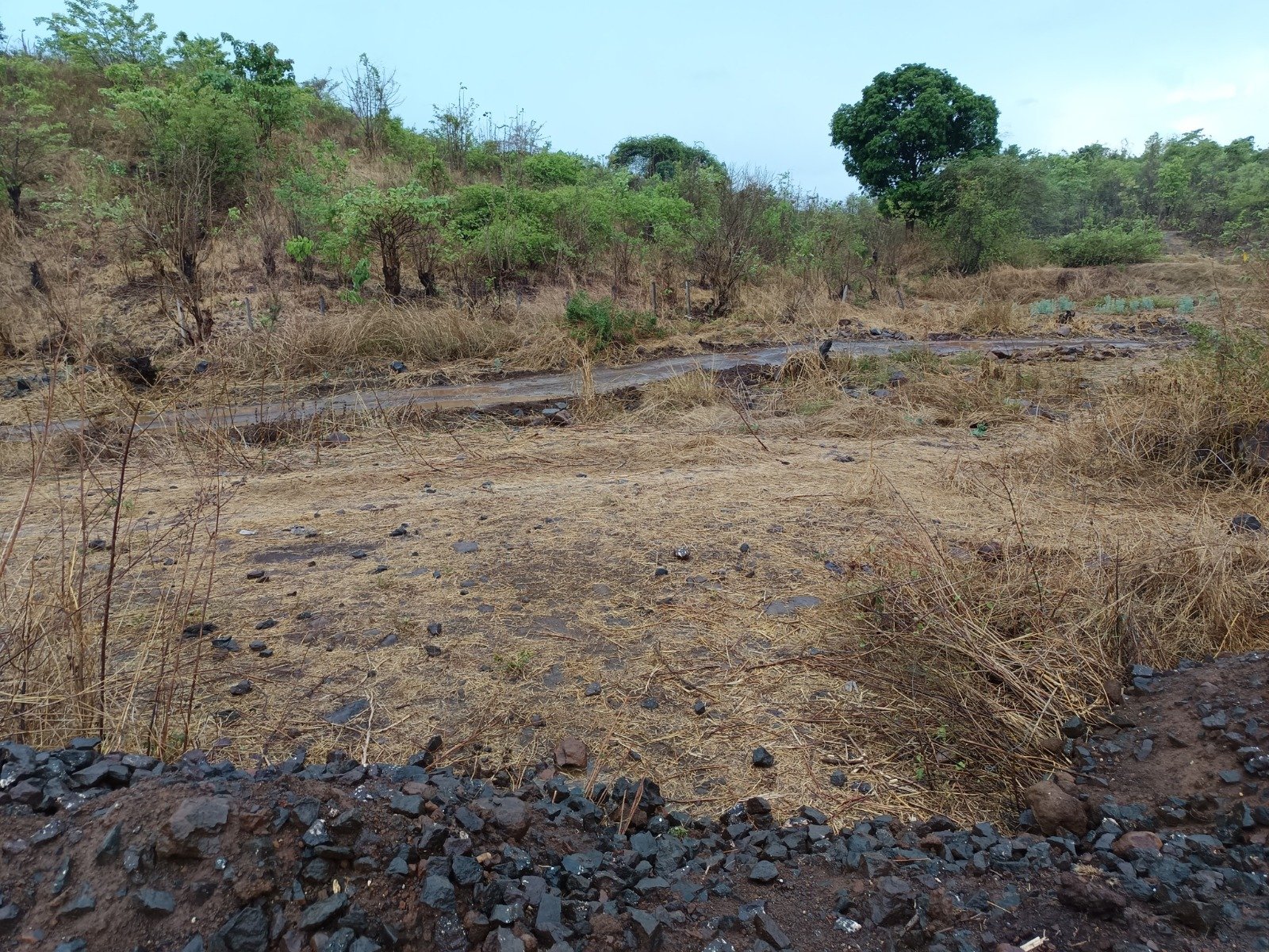 WhatsApp-Image-2025-05-13-at-10.01.43-AM