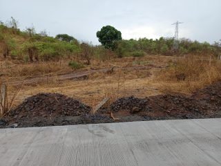 WhatsApp-Image-2025-05-13-at-10.01.44-AM