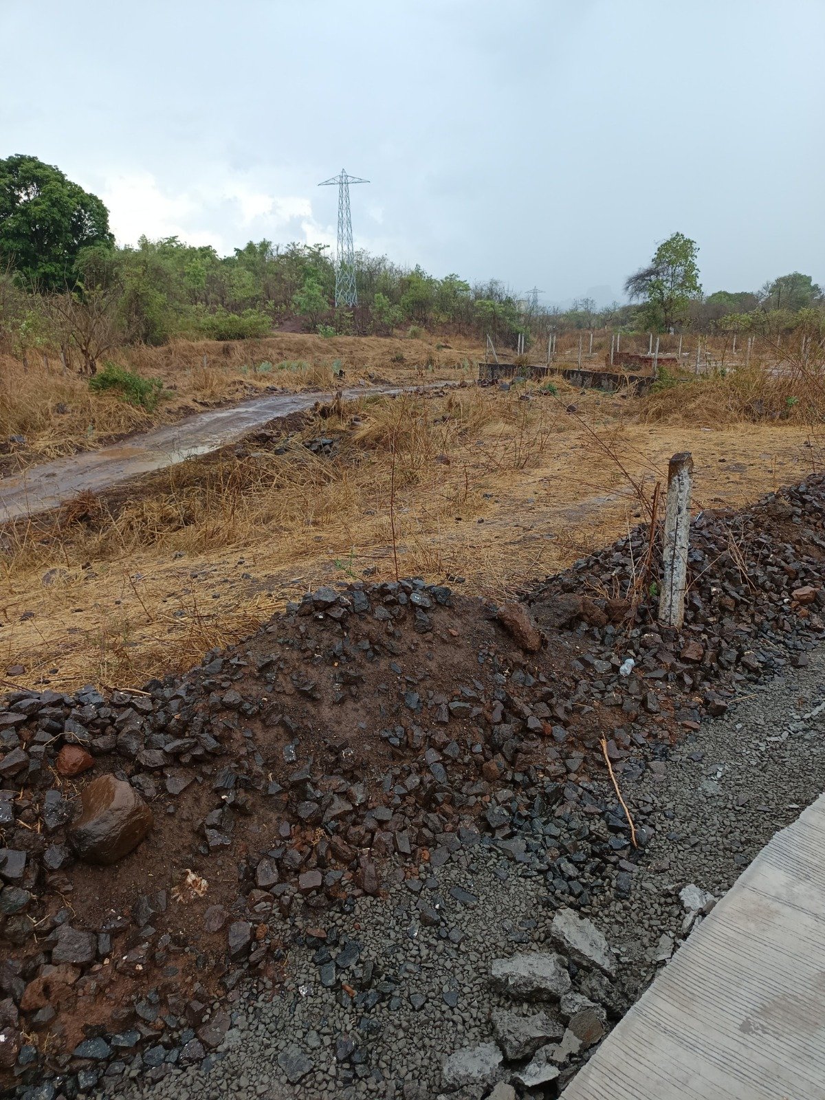 WhatsApp-Image-2025-05-13-at-10.01.45-AM