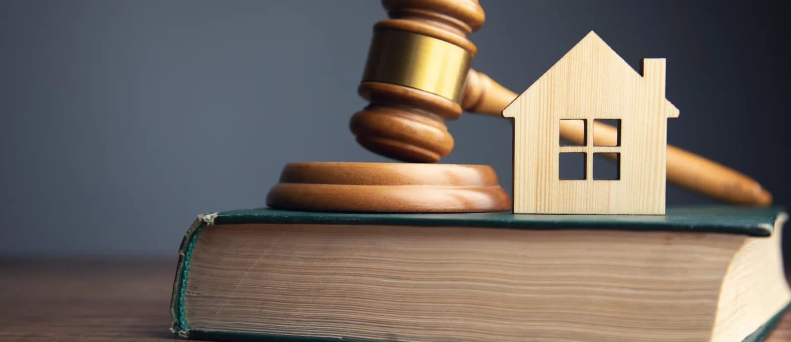 WhatsApp-Image-2025-05-16-at-9.03.58-AM-2