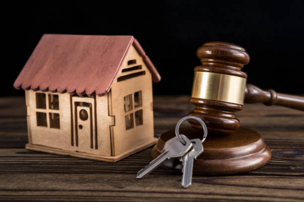 WhatsApp-Image-2025-04-17-at-2.20.13-PM-1-1