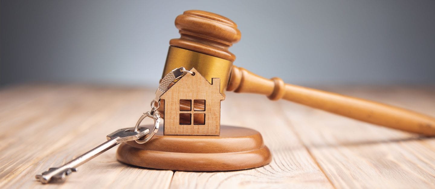 WhatsApp-Image-2025-04-17-at-4.44.36-PM-2