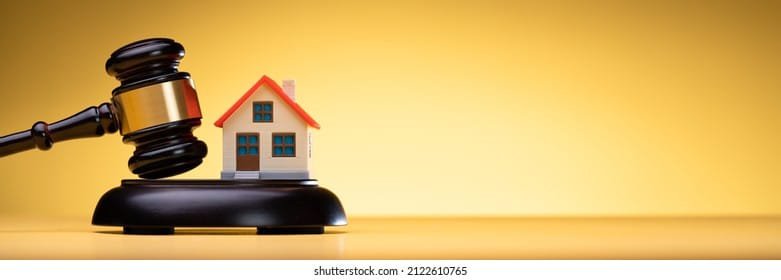 WhatsApp-Image-2025-04-17-at-4.44.39-PM