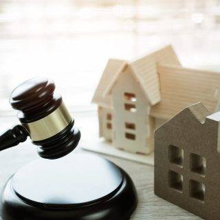 WhatsApp-Image-2025-05-16-at-9.03.57-AM-2