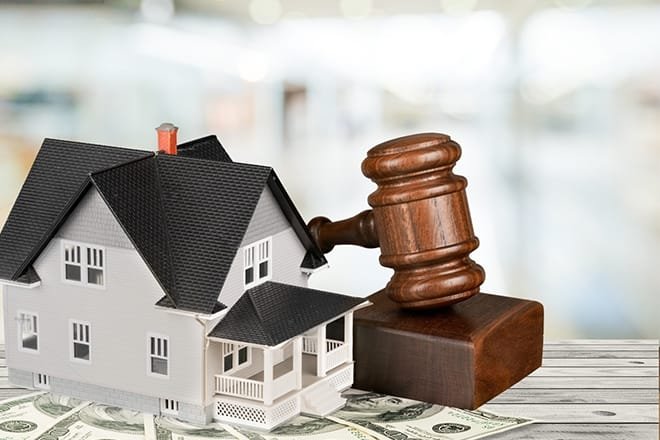 WhatsApp-Image-2025-05-16-at-9.03.59-AM