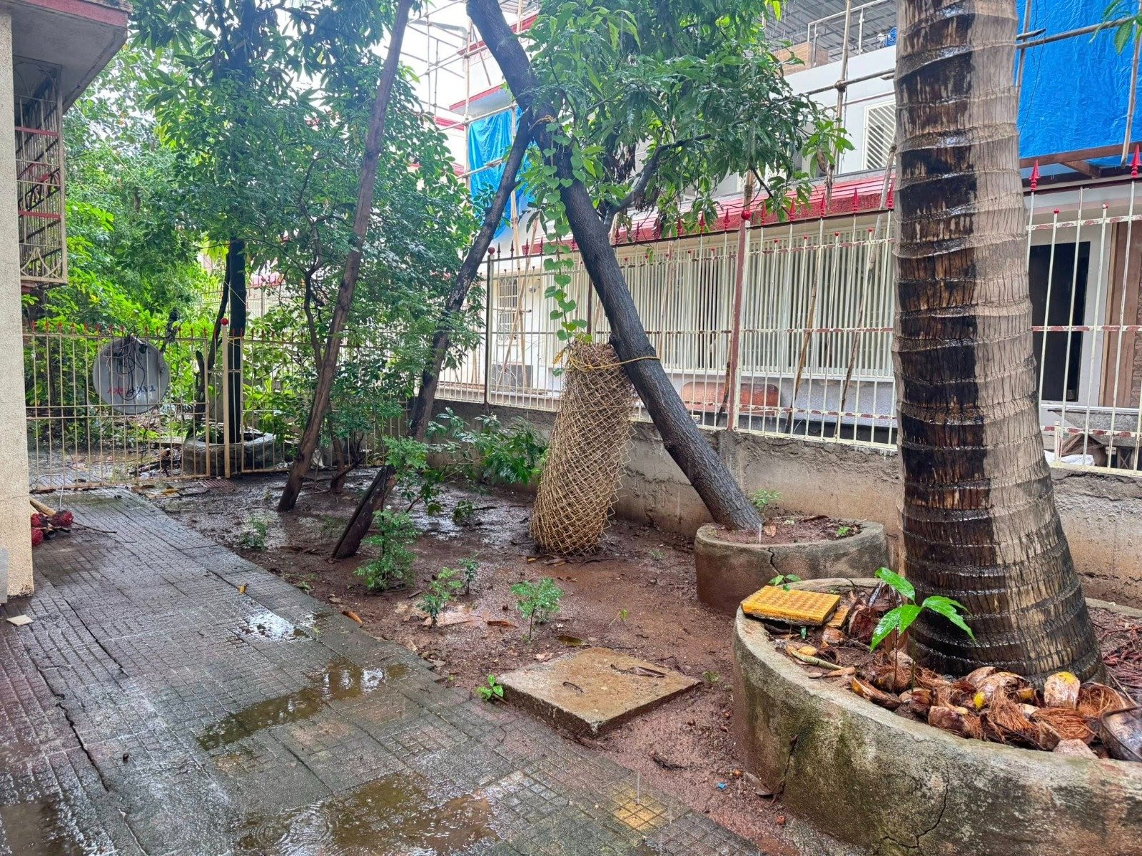 WhatsApp-Image-2025-06-09-at-10.07.50-AM-1