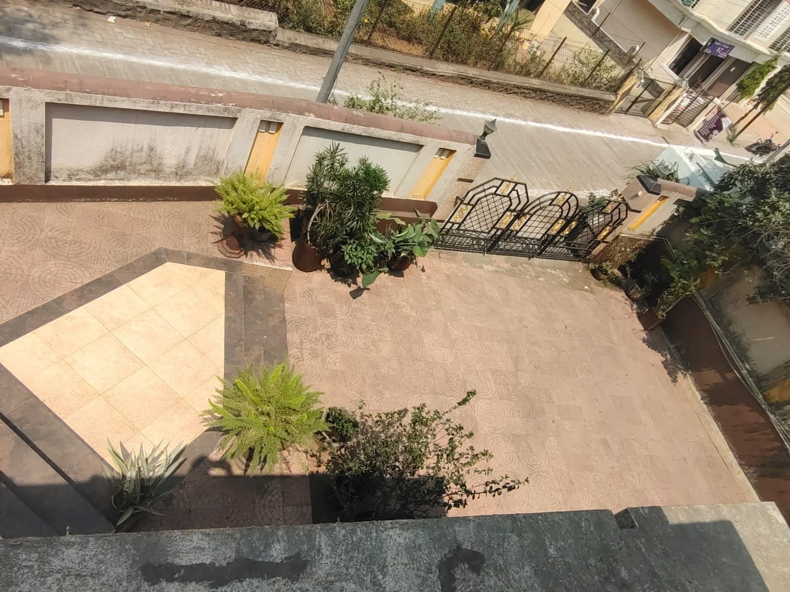 WhatsApp-Image-2025-06-26-at-11.00.40-AM