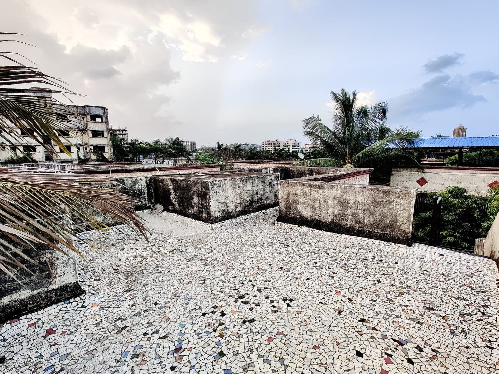 WhatsApp-Image-2025-06-26-at-12.08.51-PM