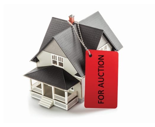 WhatsApp-Image-2025-04-17-at-2.20.10-PM-1-2